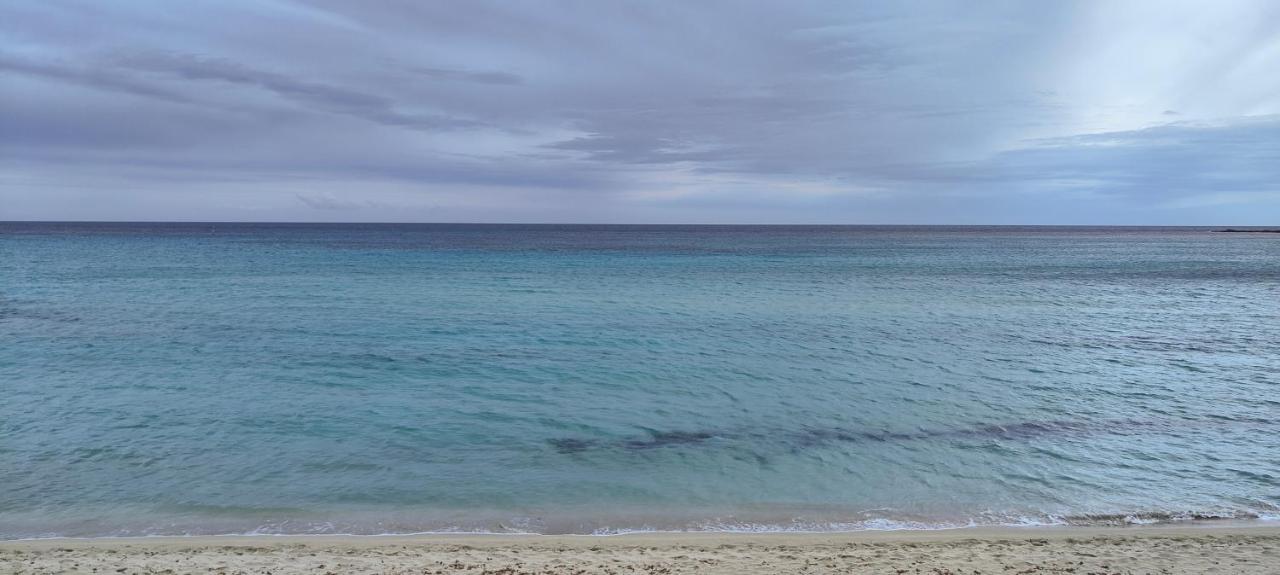 Villa Seahorse, Fontane Bianche, Siracusa, Beachfront, Great Wifi, Beautiful Garden Exterior photo